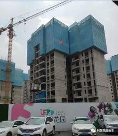 鸿阜园最新爆料新闻视频,揭秘神秘项目背后的惊人真相! 第3张 鸿阜园最新爆料新闻视频,揭秘神秘项目背后的惊人真相! 第3张