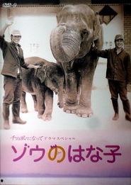 电影大象在线观看,一场视觉与心灵的震撼之旅 第2张 电影大象在线观看,一场视觉与心灵的震撼之旅 第2张