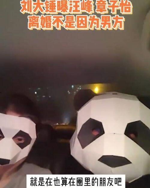 刘大锤最新爆料汪峰视频,揭秘摇滚传奇背后的故事 第2张 刘大锤最新爆料汪峰视频,揭秘摇滚传奇背后的故事 第2张